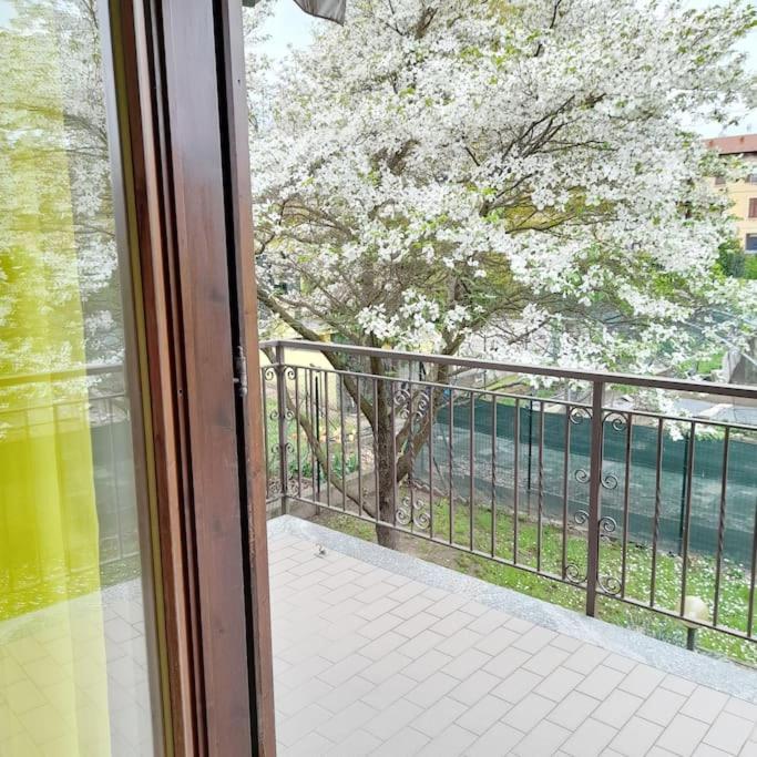 Il Vecchio Kiwi - House With Private Garden Villa Oleggio Castello Luaran gambar