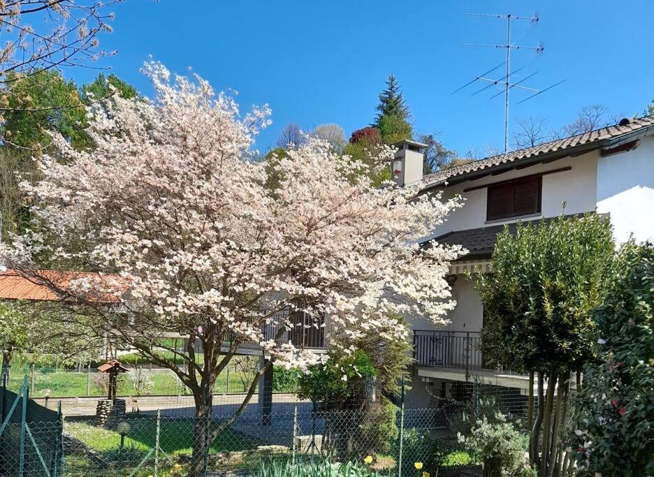 Il Vecchio Kiwi - House With Private Garden Villa Oleggio Castello Luaran gambar