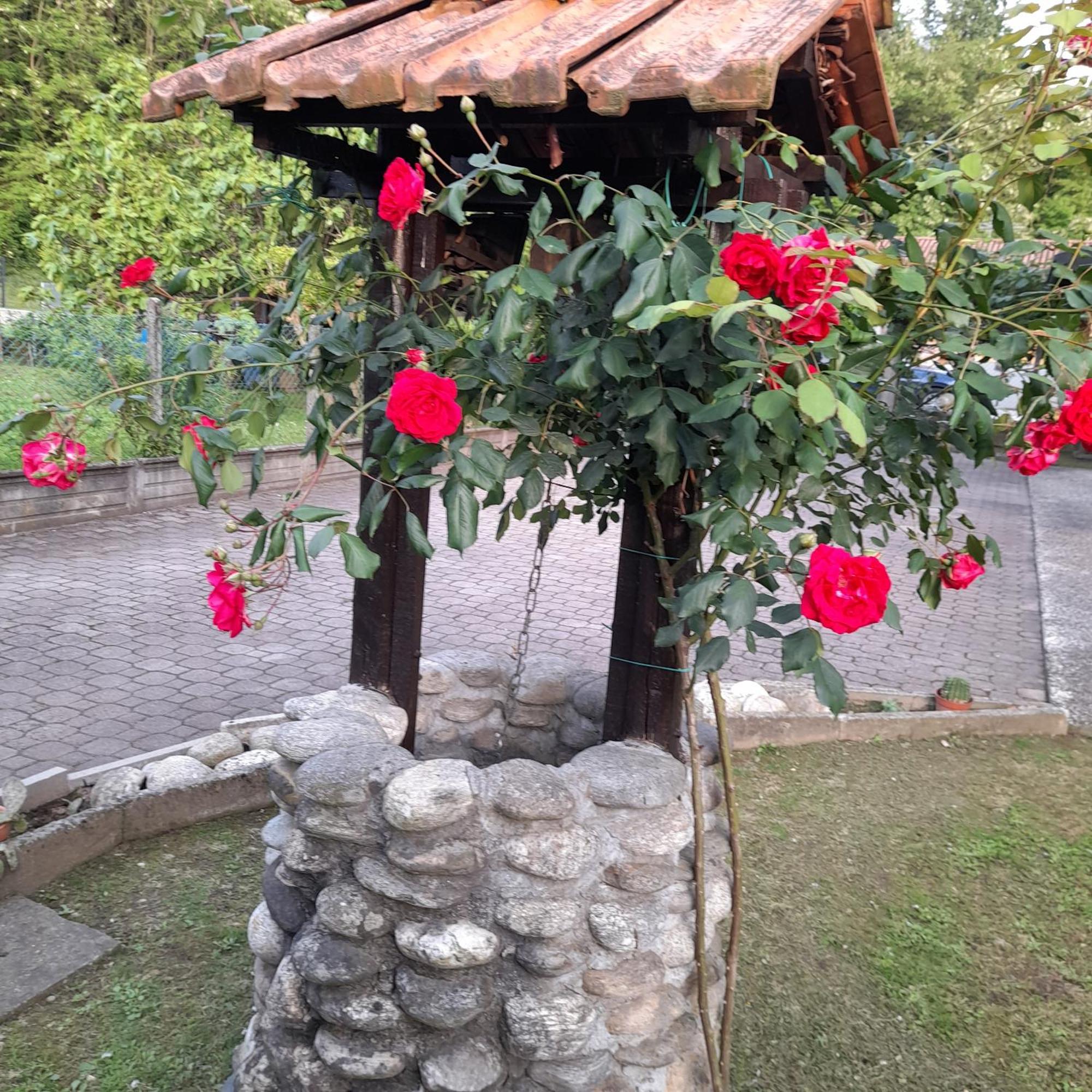 Il Vecchio Kiwi - House With Private Garden Villa Oleggio Castello Luaran gambar